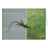 Green Lizard hanging out (Front Horizontal)