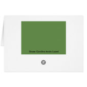 Green Lizard hanging out Cards (Back Horizontal)