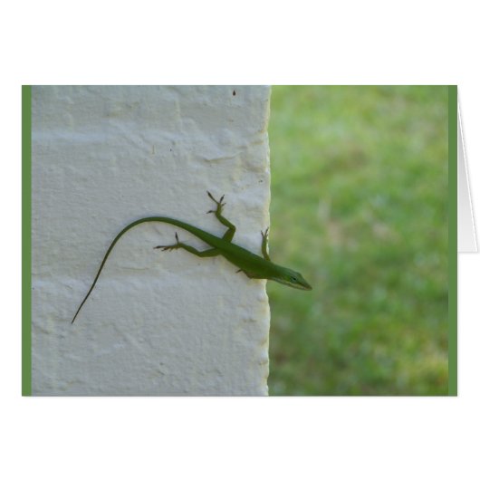Green Lizard hanging out Cards (Front Horizontal)
