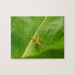 Green Lizard on Green Leaf Jigsaw Puzzle
