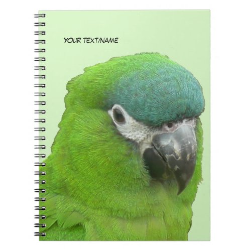 Green Lorikeet Cust Text  BG Color Notebook