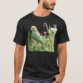 Green Lorikeet Organic Bird T-Shirt