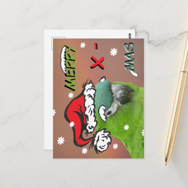 Green Lorikeet Santa Christmas Postcard (Front/Back In Situ)