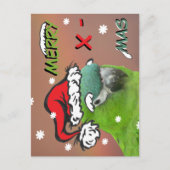 Green Lorikeet Santa Christmas Postcard (Front)