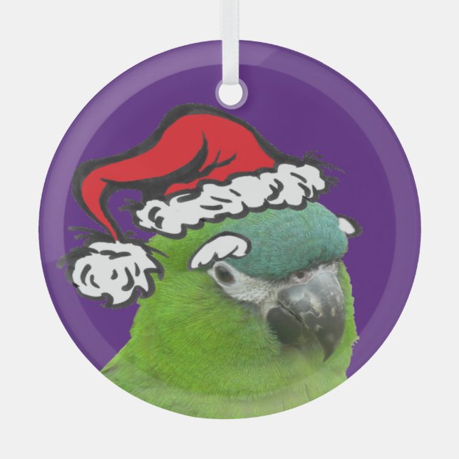 Green Lorikeet Santa Glass Ornament (Front)