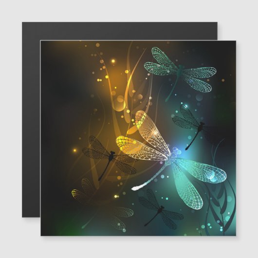 Green luminous dragonfly flight (Front/Back)