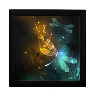 Green luminous dragonfly flight gift box