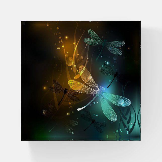 Green luminous dragonfly flight paperweight (Front)