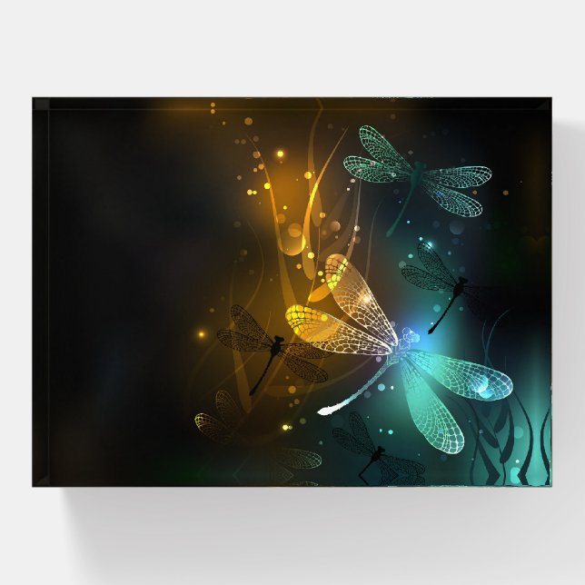 Green luminous dragonfly flight paperweight (Front)