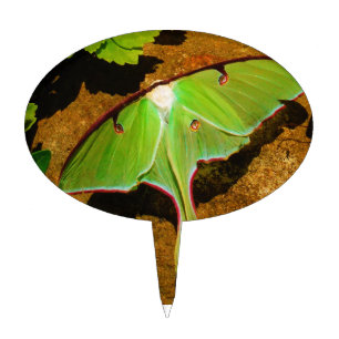 Green Luna moth Cake Topper