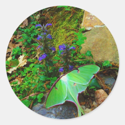 Green Luna moth Classic Round Sticker