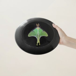 Green Luna Moth on Black Frisbee