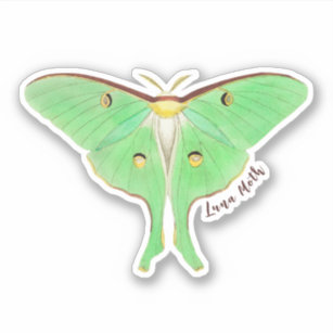 https://rlv.zcache.com/green_luna_moth_sticker-rd3c68ef1e5704d07b6b24da806208a59_08m34_307.jpg?rlvnet=1