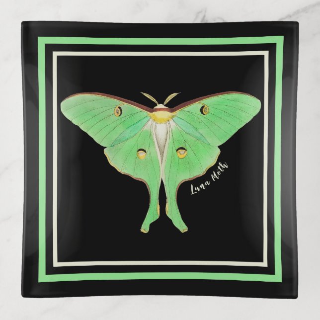 Green Luna Moth Trinket Tray (Front)