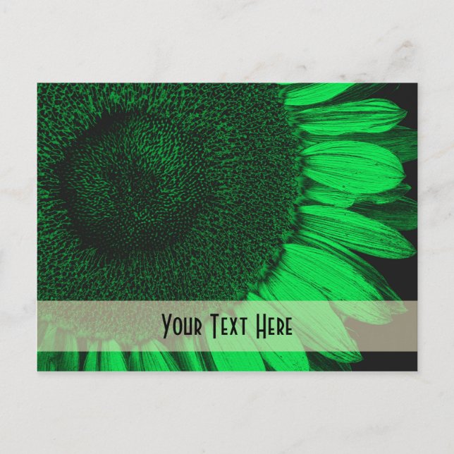 Green Macro Sunflower Floral Customizable Postcard (Front)