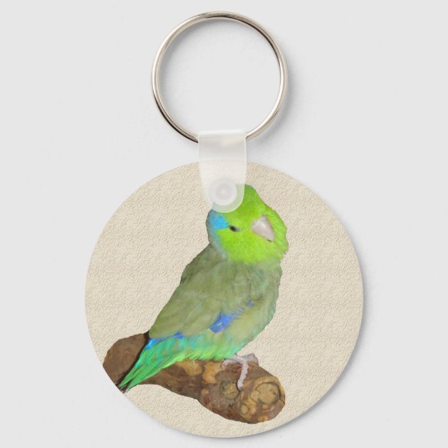 Green male parrotlet keychain (Front)