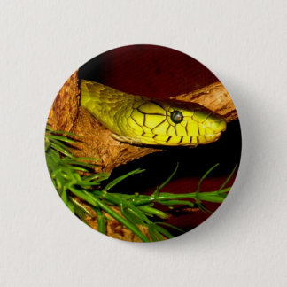 Green Mamba Pinback Button
