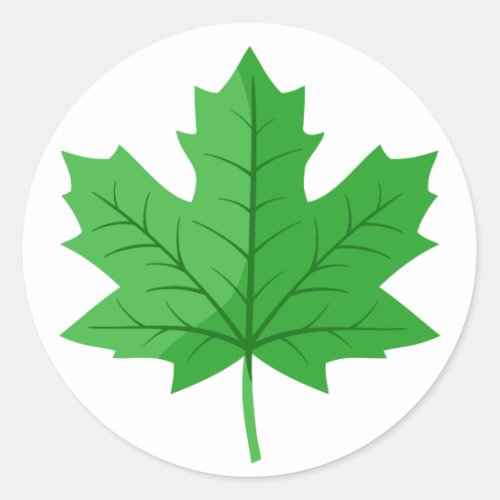 Green Maple Leaf Classic Round Sticker