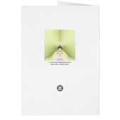 Green Meditation Cards (Back)