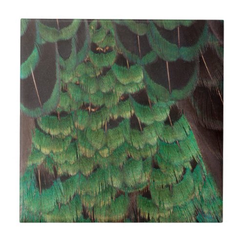 Green Melanistic Pheasant Feathers Tile