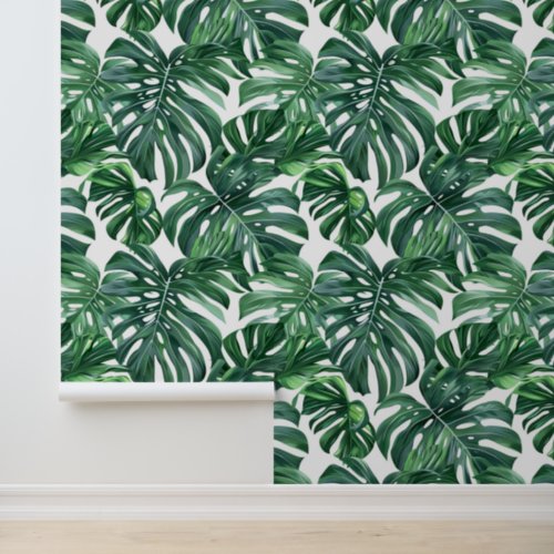 Green monstera leave pattern exotic flora wallpaper 