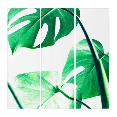 Green monstera leaves tropical plant triptych