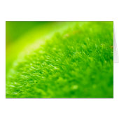 Green moss (Front Horizontal)