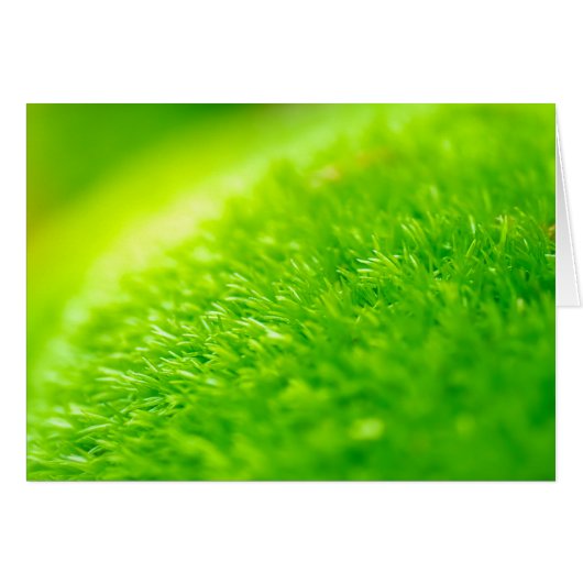 Green moss (Front Horizontal)