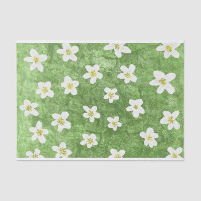 Green Moss and Daisy Illustration Tissue Paper (Front)