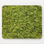 Green Moss Mouse Pad at Zazzle