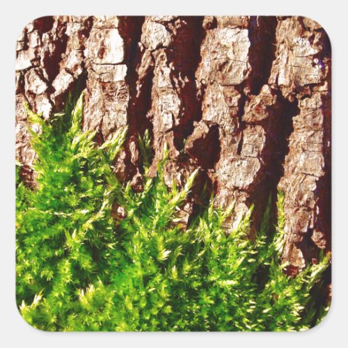 Green Moss on Tree Bark Seasonal Nature Design Square Sticker