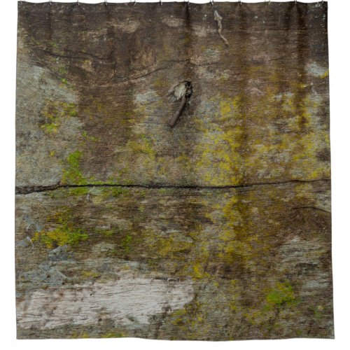 Green moss texture and background abstract alive shower curtain