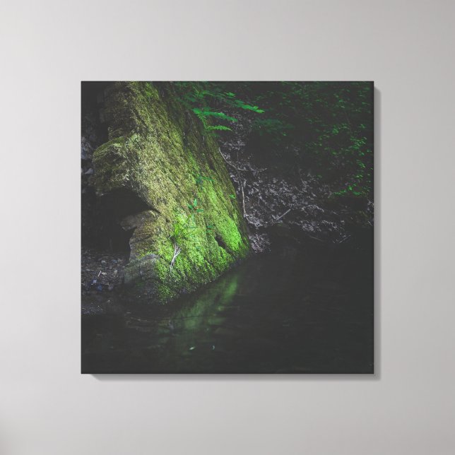 Green mossy rock with reflection in water canvas print (Front)