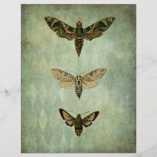 Green Moths Vintage Style Scrapbook Ephemera
