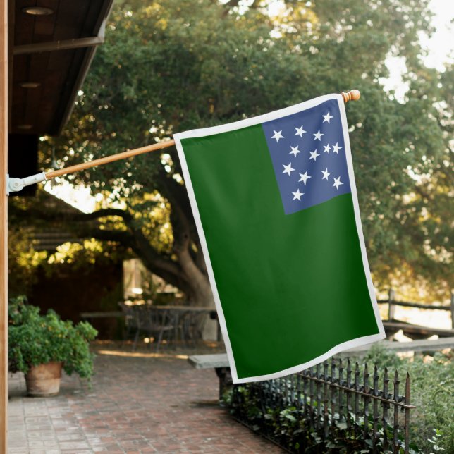 Green Mountain Boys Flag of the Vermont Republic (In SItu)