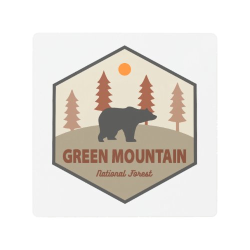 Green Mountain National Forest Bear Metal Print
