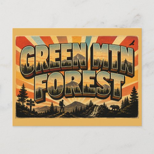 Green Mountain National Forest VT Vintage Travel Postcard