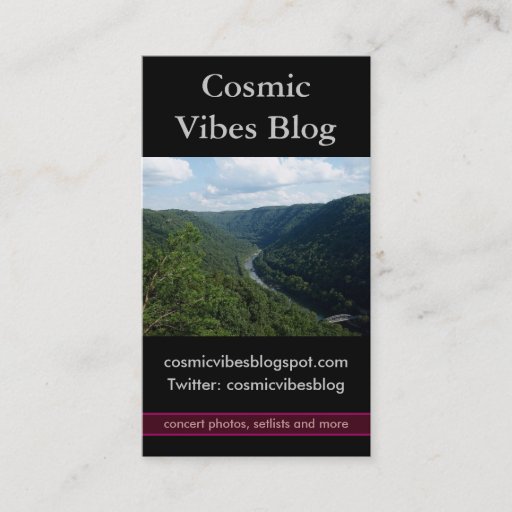 Customizable Blog Photo Business Card