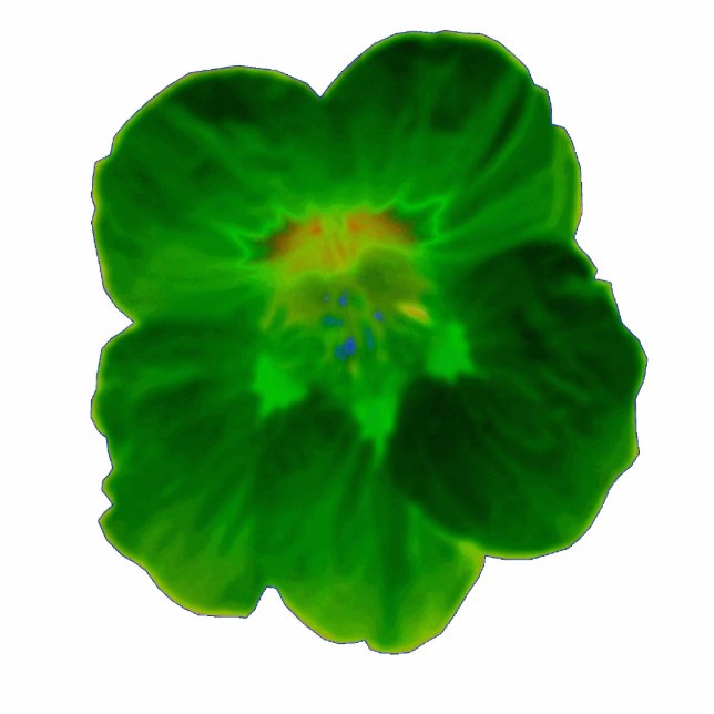 Green Nasturtium Photo Sculpture (Front)