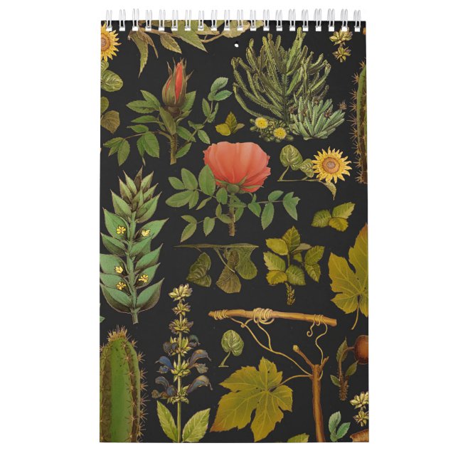 Green Nature Cactus Calendar (Cover)