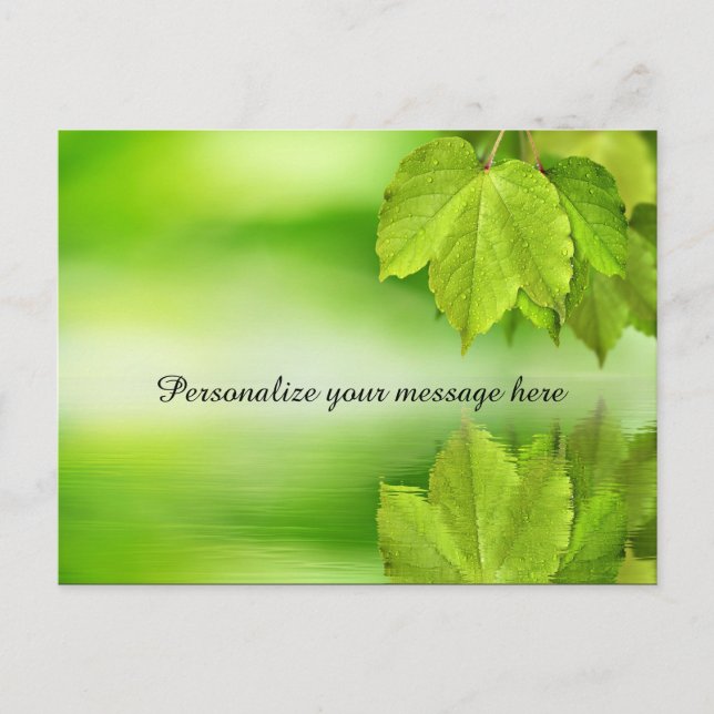 Green Nature Leaves Dew Personalized Announcement Postcard (Front)