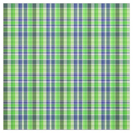 Green Navy White Preppy Madras Style Plaid Sz2#1 Fabric