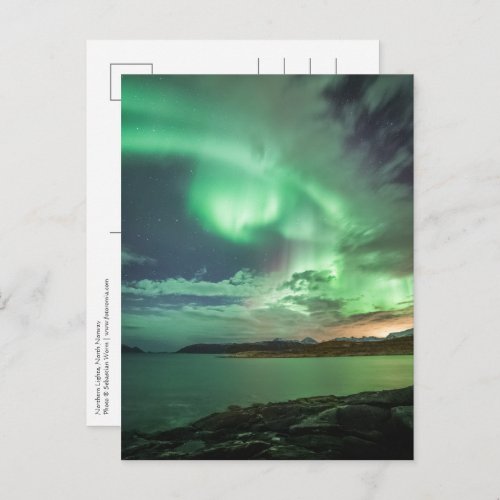Green Northern Lights Postcard