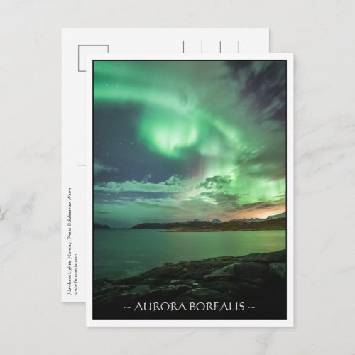 Green Northern Lights Postcard