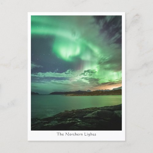 Green Northern Lights Postcard