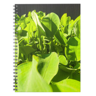 Green Oasis Notebook - Lush Green Plants Design