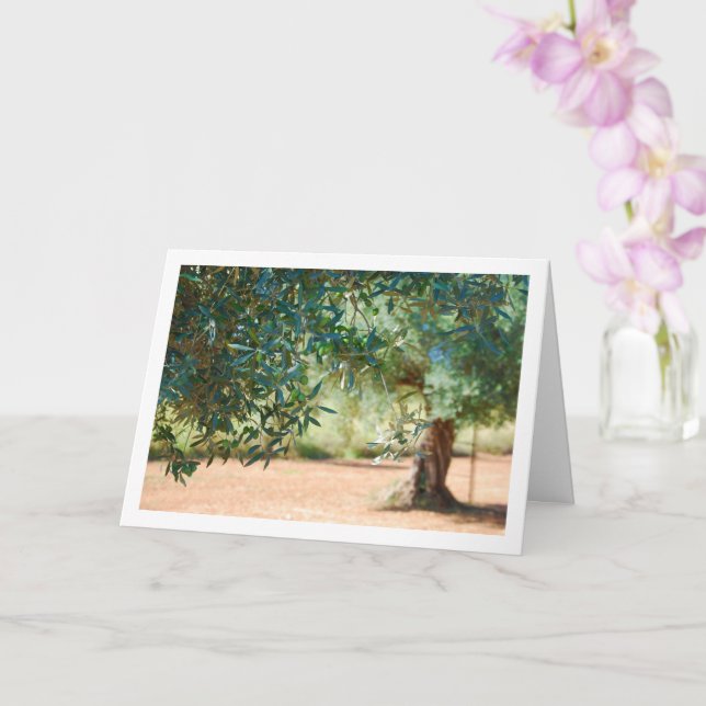 Green Olive Tree Portrait Card (Orchid)