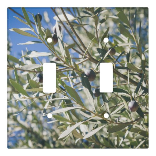 Green Olive Tree with Black Fruits Light Switch Cover