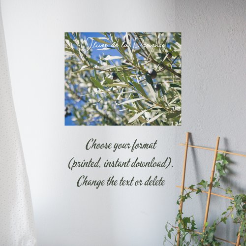 Green Olive Tree with Black Fruits Poster