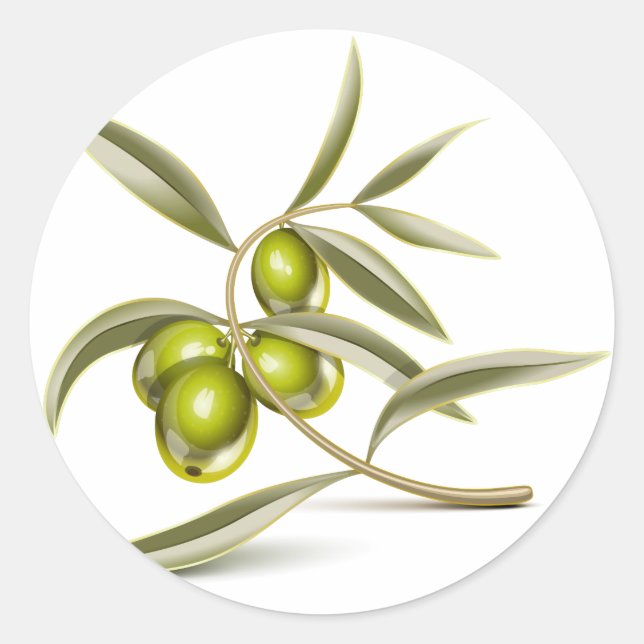 Green olives branch classic round sticker (Front)
